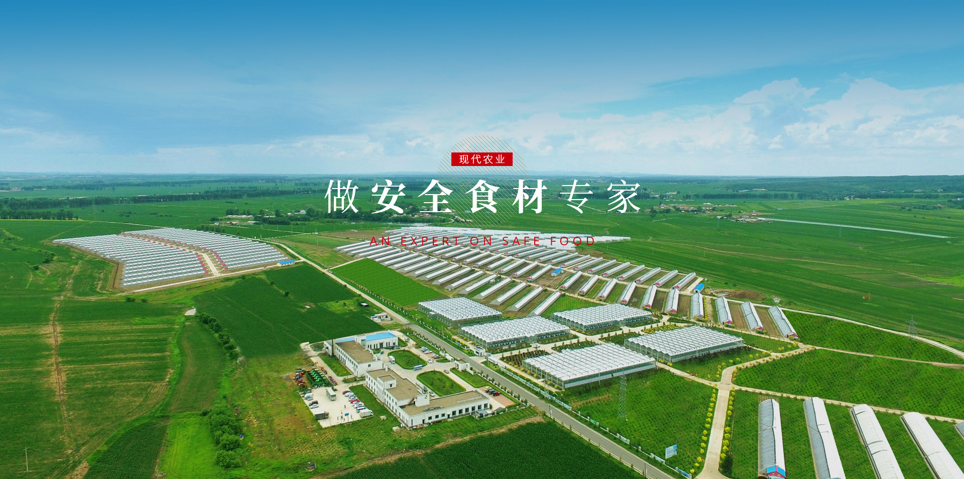 永信贵宾会217·(中国区)有限公司 - 官方网站