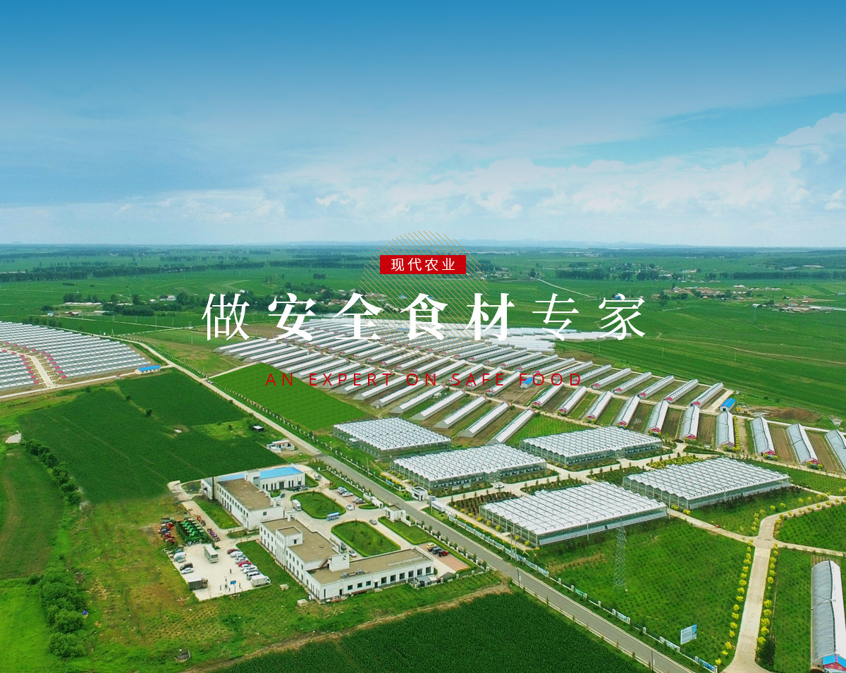 banner5_p9615812 永信贵宾会217·(中国区)有限公司 - 官方网站
