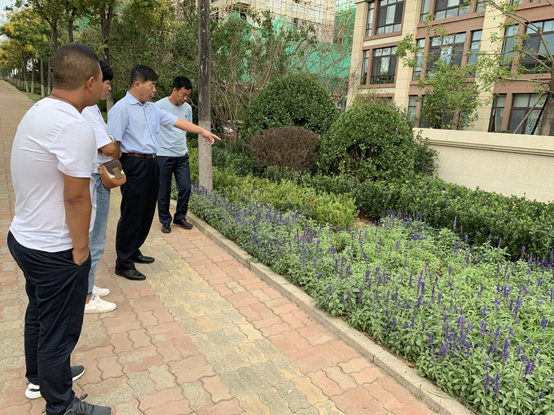 20.园林公司赴威？疾煲计纺仙较钅.jpg